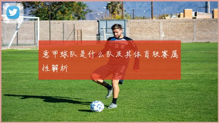 意甲球队是什么队及其体育联赛属性解析