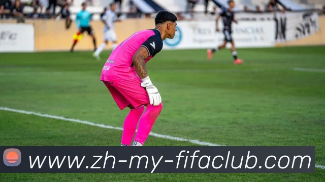 App Interface Preview