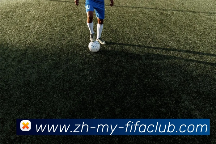 世界杯买球APP 封面图