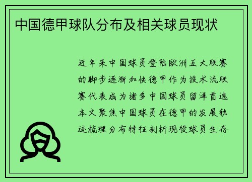 中国德甲球队分布及相关球员现状