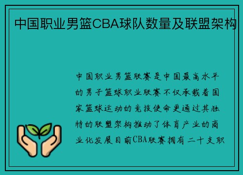中国职业男篮CBA球队数量及联盟架构